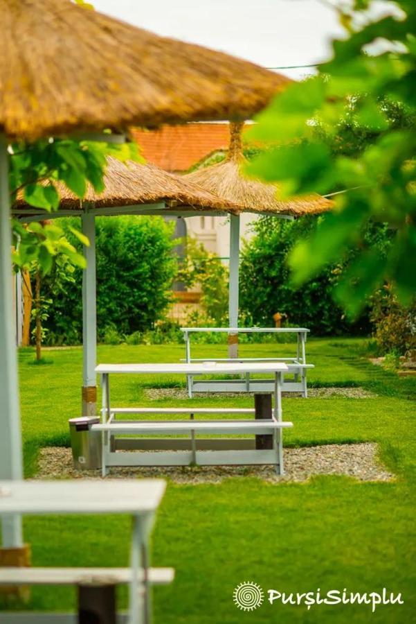 Hotel Pur Si Simplu Adults Only Vama Veche Exterior foto